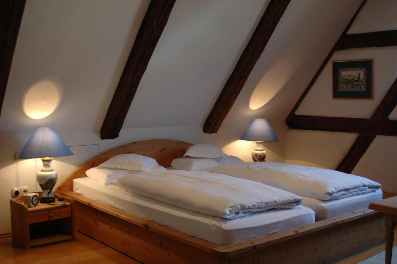 Hotel Schwarzer Adler Erlangen Ngoại thất bức ảnh